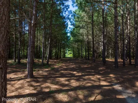 6909 Marks Rd, Cameron, NC 28326 photo 33