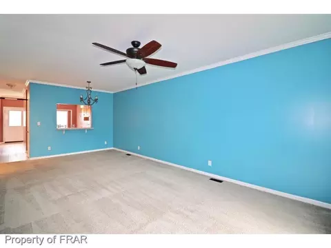 560 Bald Eagle Dr, Vass, NC 28394 photo 6