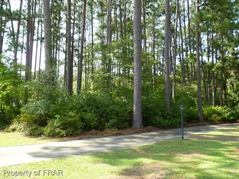831 E Prospect Ave, Raeford, NC 28376 photo 5