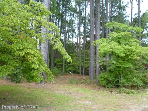 831 E Prospect Ave, Raeford, NC 28376 photo 6