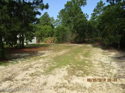 190 Ridge View Dr, Cameron, NC 28326 photo 10