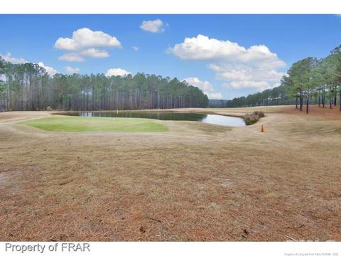 90 Pine Hawk Dr, Spring Lake, NC 28390 photo 33