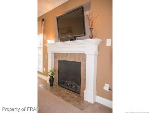 360 Strike Eagle, Broadway, NC 27505 photo 17
