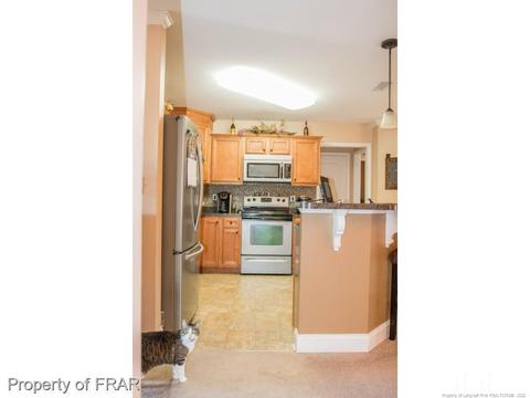 360 Strike Eagle, Broadway, NC 27505 photo 8