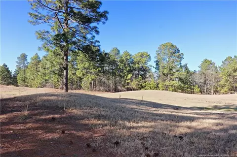 688 Bald Eagle Dr, Vass, NC 28394 photo 25