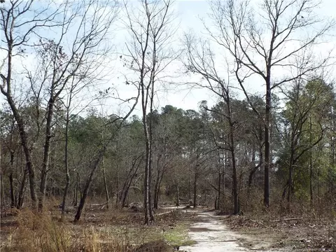 5645 Saddleback Trl, Wade, NC 28395 photo 43