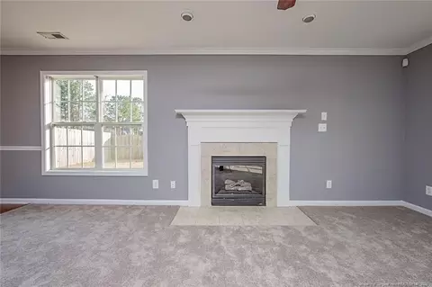 266 Valley Oak Dr, Bunnlevel, NC 28323 photo 11