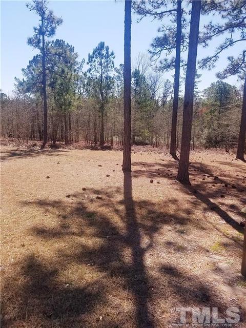 238 Basket Oak Dr, Bunnlevel, NC 28323 photo 17