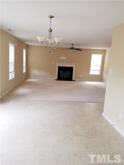 238 Basket Oak Dr, Bunnlevel, NC 28323 photo 3