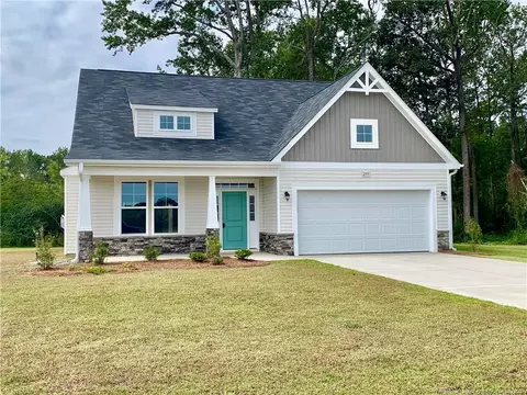 259 Mill Ridge Ct, Godwin, NC 28344 photo 1