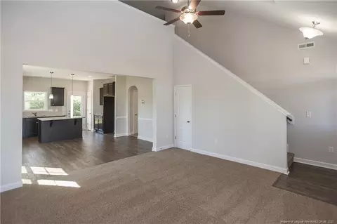 259 Mill Ridge Ct, Godwin, NC 28344 photo 3