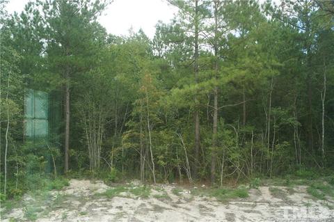 830 Juno Dr, Broadway, NC 27505 photo 13