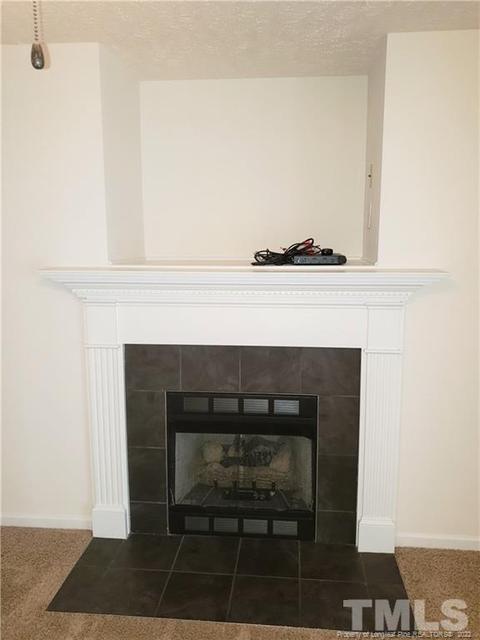 58 Checkmate Ct, Cameron, NC 28326 photo 9