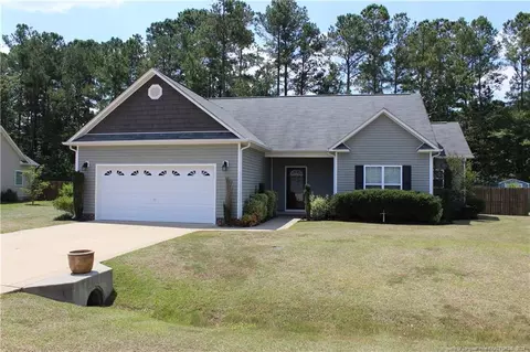 820 Raspberry Rd, Stedman, NC 28391 photo 1