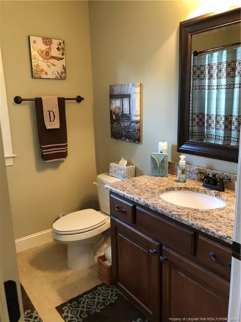 112 Saw Grass Ct, Bunnlevel, NC 28323 photo 17