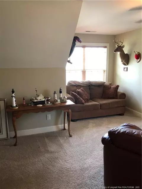112 Saw Grass Ct, Bunnlevel, NC 28323 photo 20