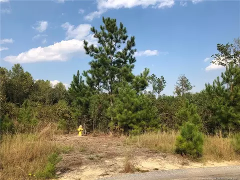 111 Ithica Ln, Bunnlevel, NC 28323 photo 1
