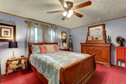 17 Fall Ridge Ln, Broadway, NC 27505 photo 22