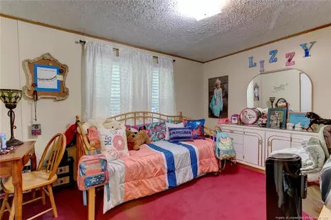 17 Fall Ridge Ln, Broadway, NC 27505 photo 33