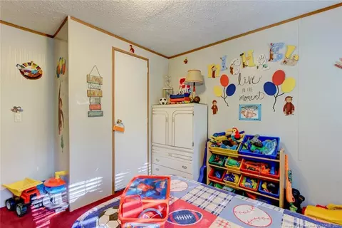 17 Fall Ridge Ln, Broadway, NC 27505 photo 31