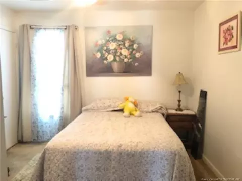217 Eppingdale Dr, Spring Lake, NC 28390 photo 7