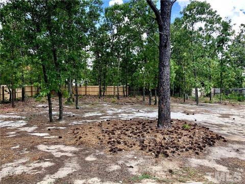 196 Capel Dr, Pinebluff, NC 28373 photo 4