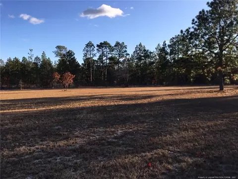 476 Thunder Rd, Pinebluff, NC 28373 photo 3