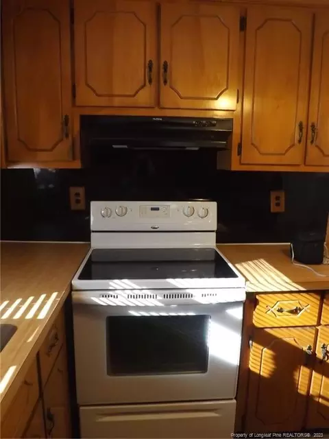 205 Crawford Wright Rd, Raeford, NC 28376 photo 24