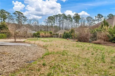 21 Buck Ridge Ln, Willow Spring, NC 27592 photo 36