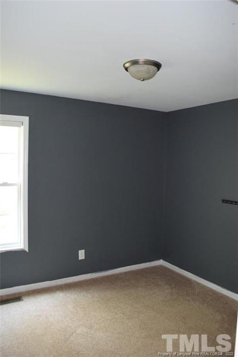 160 Sword Loop, Broadway, NC 27505 photo 17
