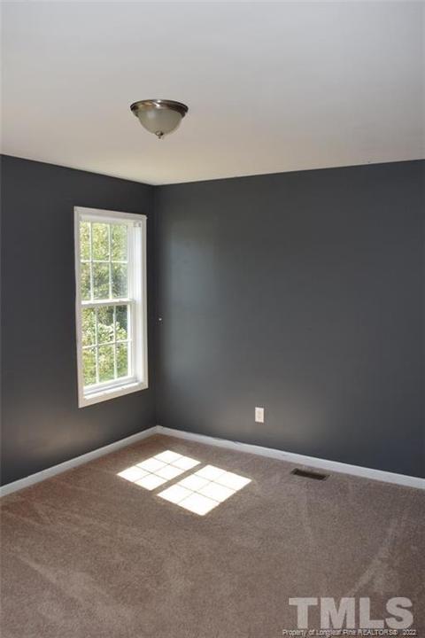 160 Sword Loop, Broadway, NC 27505 photo 16