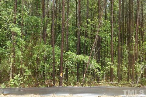 123 Kotata Ave, Bunnlevel, NC 28323 photo 24