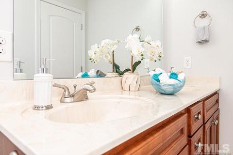 407 Strike Eagle Dr, Broadway, NC 27505 photo 23