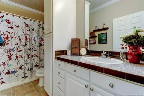4532 Corinth Rd, Moncure, NC 27559 photo 27