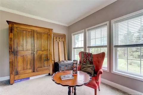 4532 Corinth Rd, Moncure, NC 27559 photo 9