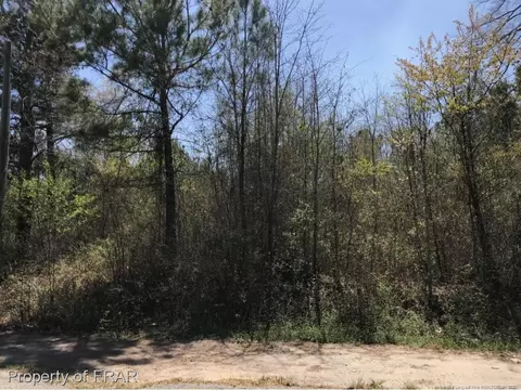 lot212 King Richard Ct, Red Springs, NC 28377