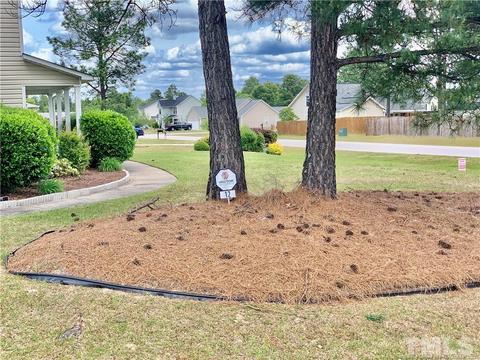 12 Blue Oak Dr, Bunnlevel, NC 28323 photo 33