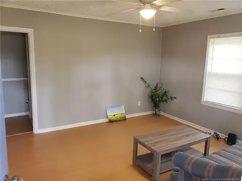 6780 Wire Grass Rd, Orrum, NC 28369 photo 9
