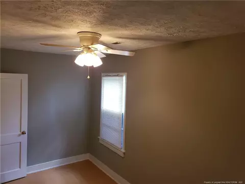 6780 Wire Grass Rd, Orrum, NC 28369 photo 33