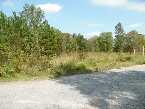3348 Gabe Smith Rd, Wade, NC 28395 photo 6