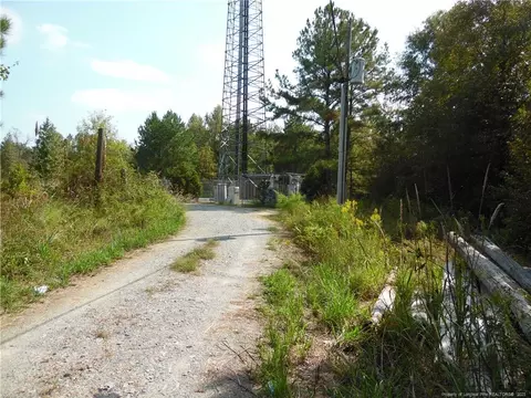 3348 Gabe Smith Rd, Wade, NC 28395 photo 1
