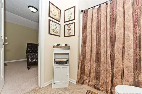 236 Oakridge Dr, Raeford, NC 28376 photo 44