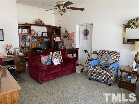 303 E Morgan St, Benson, NC 27504 photo 5