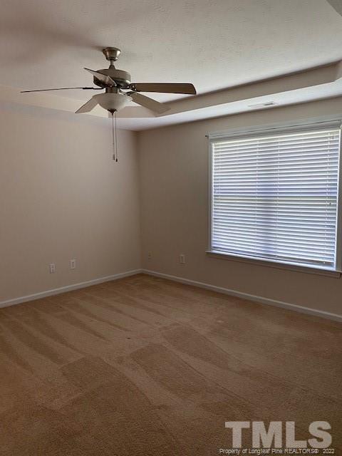 110 Nesting Ln, Raeford, NC 28376 photo 9