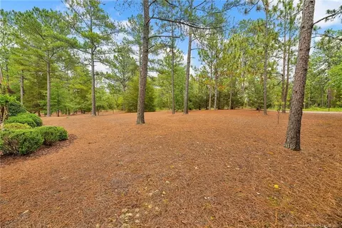 19 Lasswade Dr, Pinehurst, NC 28374 photo 39