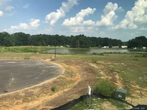 228 Monroe Fields Dr, Benson, NC 27504 photo 24