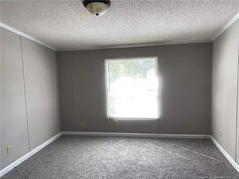 171 Constitution Way, Cameron, NC 28326 photo 14