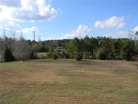 201 Lasater Rd, Bunnlevel, NC 28323 photo 5