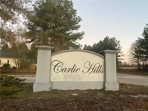 205 Wilson Run, Bunnlevel, NC 28323 photo 2