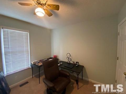 221 Waters Edge Dr, Erwin, NC 28339 photo 15